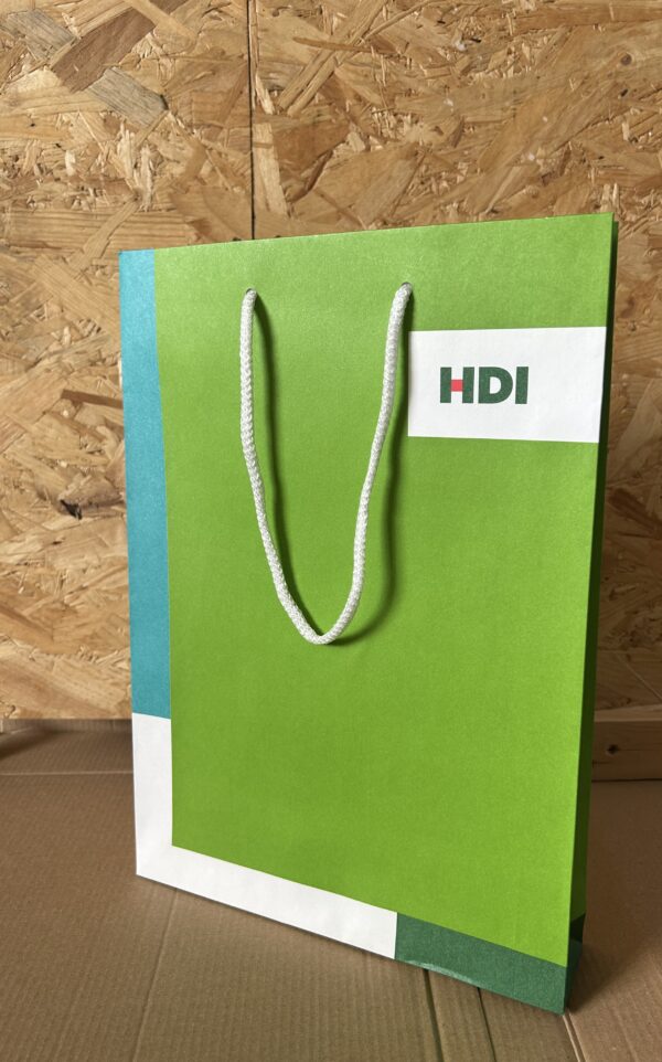 Medium Kraft Paper Gift Bag