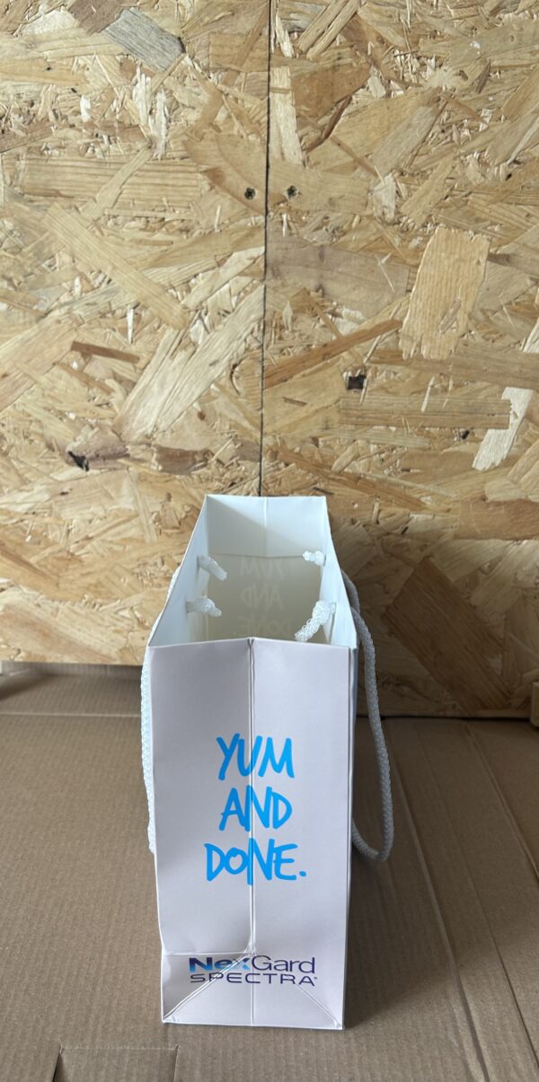 Landscape Laminated Paper Gift Bag - Image 3
