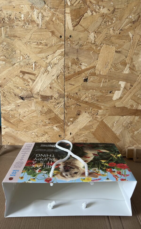 Landscape Laminated Paper Gift Bag - Image 4