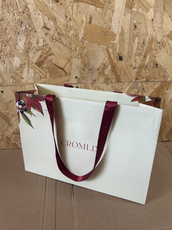 Luxury Laminated Paper Bag With Ribbon Handles – Paper Bag Factory
