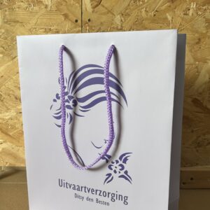 Laminated Paper Gift Bag