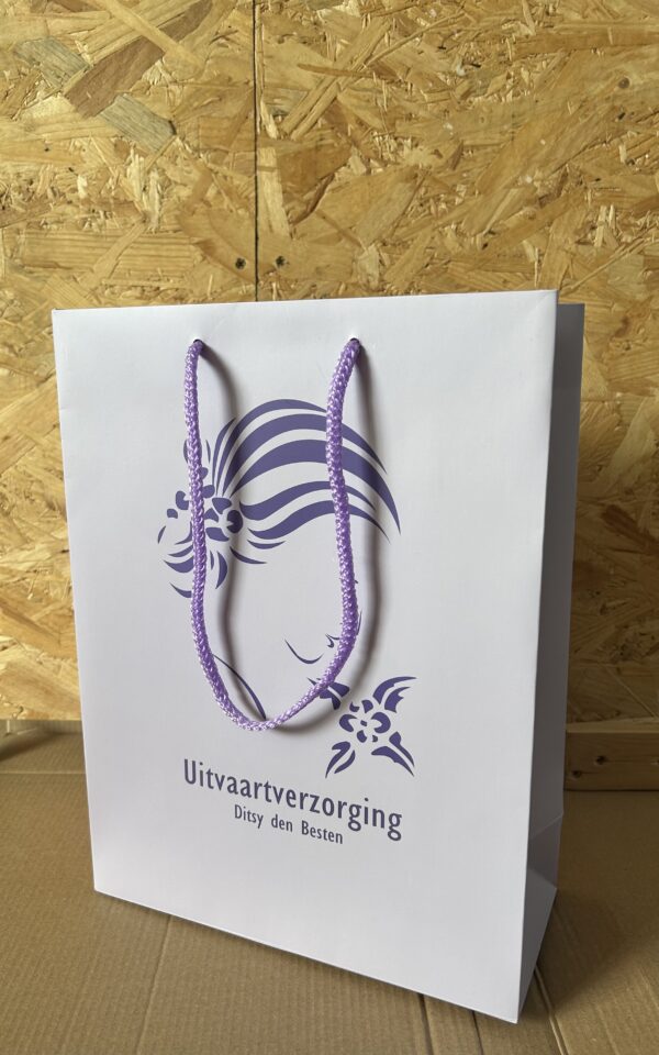 Laminated Paper Gift Bag